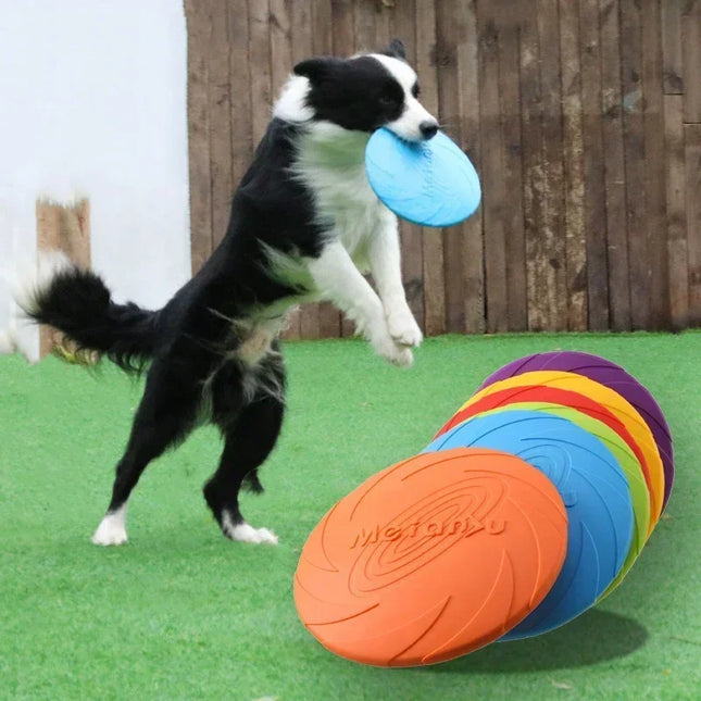 Rubber Frisbee voor Honden | Bijtbestendig en Interactief Speeltje | Verkrijgbaar in 15 cm en 22 cm | Diverse Kleuren | Duurzaam en Ideaal voor Actieve Honden van Alle Rassen