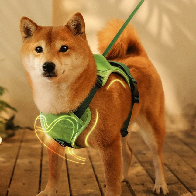 Hondentuig met Ademend Mesh | Nauwkeurige Controle | 130cm Riem | Comfortabel Wandelen | Diverse Kleuren