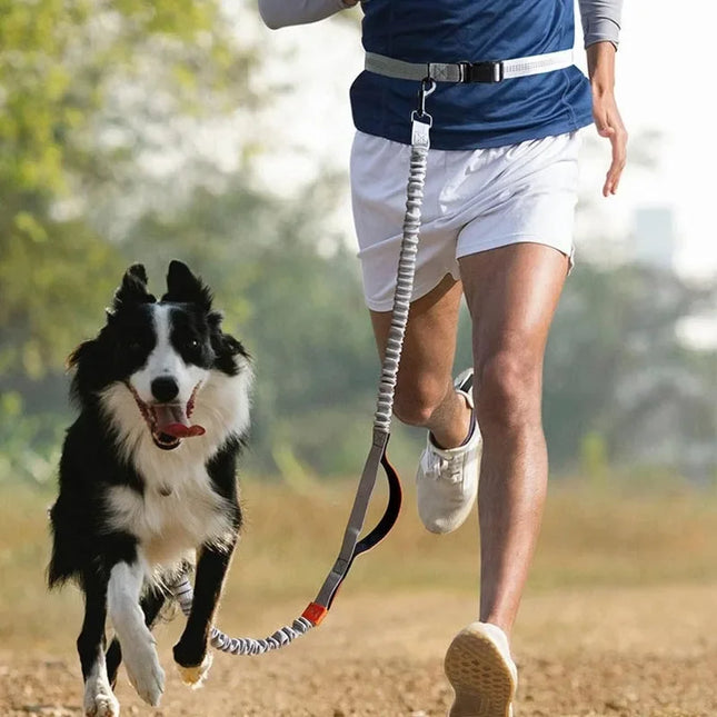 RunPaw Handsfree Uitrekriem voor Grote Honden | Verstelbaar & Reflecterend | Ideaal voor Hardlopen en Wandelen