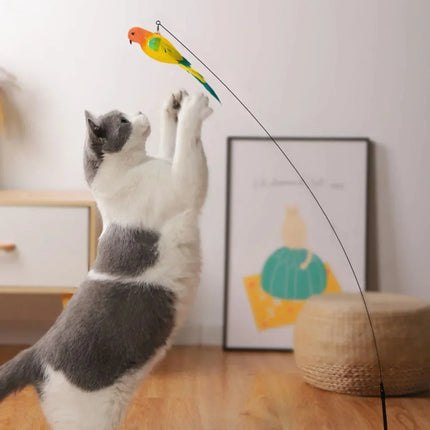 Kattenspeelgoed | Interactieve Pauwenpluim Met Bel | Kunststof Verenstok | Kattenstok | Speeltjes Voor Kittens En Katten | Huisdierbenodigdheden | Veilig En Duurzaam | Simulatie Vogelmotief | Indoor Plezier