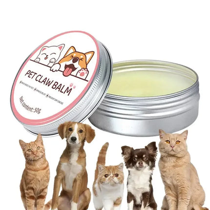Pawfect Care | Voedende Balsem voor Neuzen en Poten van Huisdieren | Geschikt voor Honden en Katten | Weerbestendig | 50g