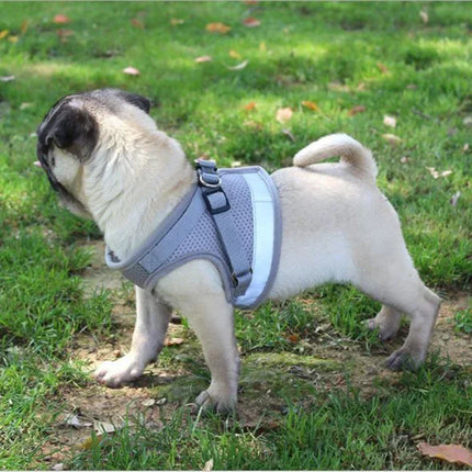 Effosola Hondenharnas | Instelbaar Gewatteerd Vest | Mesh Materiaal | Lijnen met Trektouw | Geschikt voor Puppy's | Effen Kleuren | Alle Seizoenen | Duurzaam Fiber | Veilig voor Honden en Katten