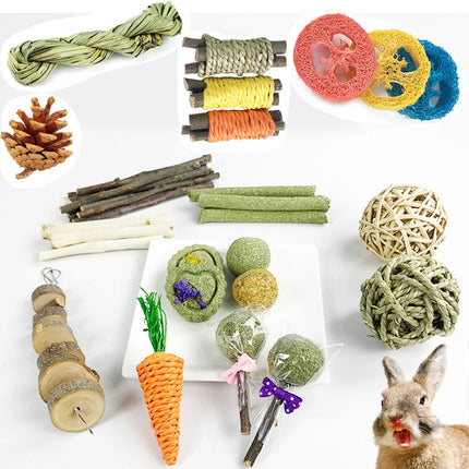 Knaagdier Kauwspeelgoed Set | Voor Cavia Konijn Hamster | Gras Appelhout Loofah | Tandenreiniging 31/14/9/7 stuks