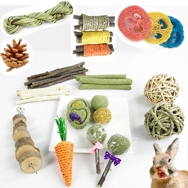 Knaagdier Kauwspeelgoed Set | Voor Cavia Konijn Hamster | Gras Appelhout Loofah | Tandenreiniging 31/14/9/7 stuks