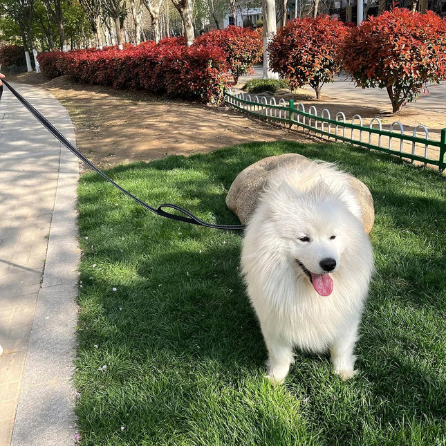 Reflecterende Hondenlijn voor Grote Rassen | Gewatteerde Handgreep voor Comfort | Duurzaam Polyester | Veilig en Zichtbaar bij Weinig Licht | Voor Alle Seizoenen | Geschikt voor Dagelijkse Wandelingen en Avonturen