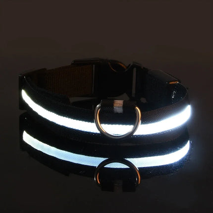 GlowBuddy Verstelbare Nylon Halsband met LED-verlichting | Veilig en Reflecterend voor Honden tijdens Nachtelijke Wandelingen