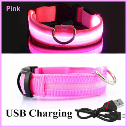 LED Verlichte Veiligheidshalsband voor Huisdieren | Oplaadbaar via USB, Waterbestendig, 3 Lichtmodi | Geschikt voor Honden en Katten