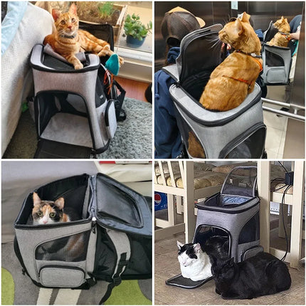 Ademende Reisrugzak voor Huisdieren | Grote Opvouwbare en Uitschuifbare Draagtas | Geschikt voor Katten en Kleine Honden | Met Ventilatie Mesh and Verstevigde Draagbanden