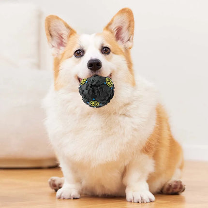 Zwarte Voerdispenser voor Honden met Geluidseffect | Ribbelstructuur voor Tandverzorging | Veilig Vinyl | 9x9x9 cm