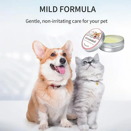 Pawfect Care | Voedende Balsem voor Neuzen en Poten van Huisdieren | Geschikt voor Honden en Katten | Weerbestendig | 50g