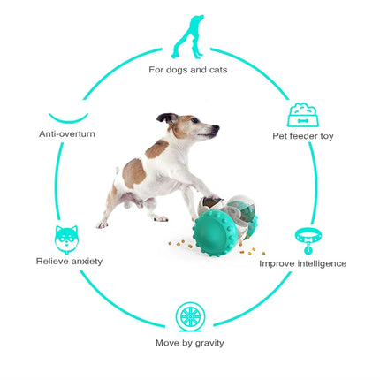 Interactieve SnackTumbler voor Honden en Katten | Stimuleert IQ en Voorkomt Overeten | In Kleuren Turquoise, Groen, Geel, Zwart