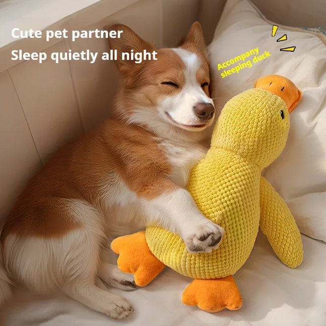 SnuggleQuack Pluche Eend | Kalmerend & Bijtbestendig Hondenspeelgoed met Geluid | Ideaal voor Kauwen & Knuffelen