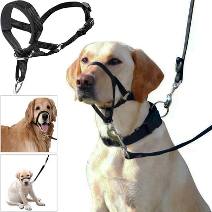 QuietFit Nylon Hondenmuilband | Verstelbaar en Comfortabel | Beschikbaar in Meerdere Kleuren en Maten S tot 2XL