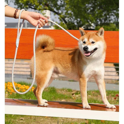 Reflecterende Veiligheidsriem | Verstelbaar en Duurzaam | Voor Middelgrote en Grote Honden | Comfortabel No-Pull Design | Nylon | Verschillende Kleuren | Perfect voor Nachtelijke Wandelingen