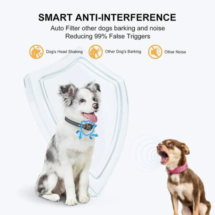 Slimme anti-blafhalsband voor kleine honden | Instelbare gevoeligheid | Comfortabel ontwerp | Oplaadbaar | 20-51 cm halsomtrek