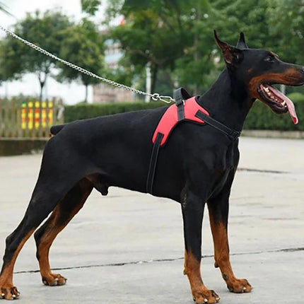Hondenharnas Verstelbaar | Nylon Reflecterend | Geschikt voor Alle Honden | 150cm Sterke Riem | Zwart Rood Camouflage Luipaard | Alle Seizoenen Draagcomfort | Duurzaam en Veilig
