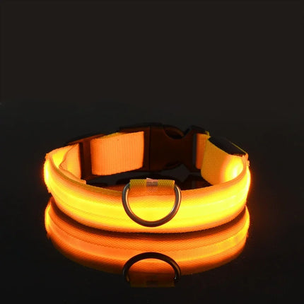 GlowBuddy Verstelbare Nylon Halsband met LED-verlichting | Veilig en Reflecterend voor Honden tijdens Nachtelijke Wandelingen