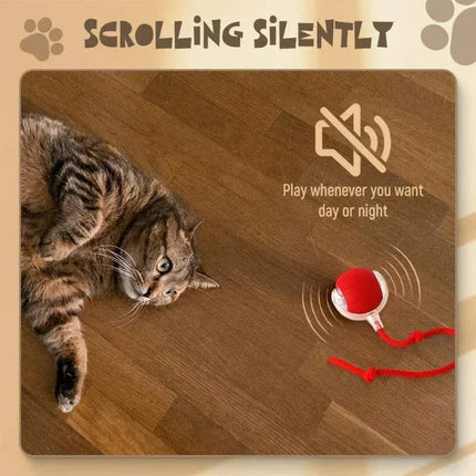 Interactieve Speelbal voor Katten en Honden | Automatisch en Oplaadbaar met Obstakelontwijking | Duurzaam en Geluidloos Design