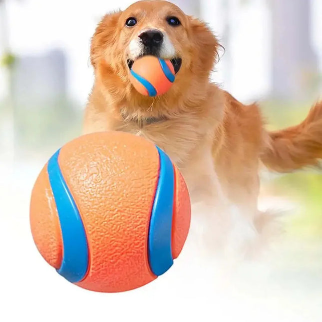 Onbreekbare Speelbal voor Honden | Veilig en Duurzaam | Geschikt voor Apporteren, Kauwen | Voor alle Grootte Honden | Makkelijk Schoon te Maken