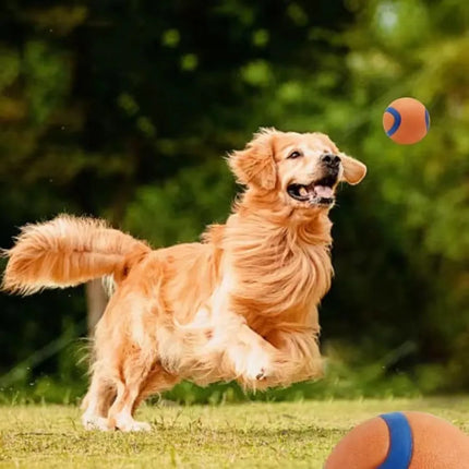 Onbreekbare Speelbal voor Honden | Veilig en Duurzaam | Geschikt voor Apporteren, Kauwen | Voor alle Grootte Honden | Makkelijk Schoon te Maken