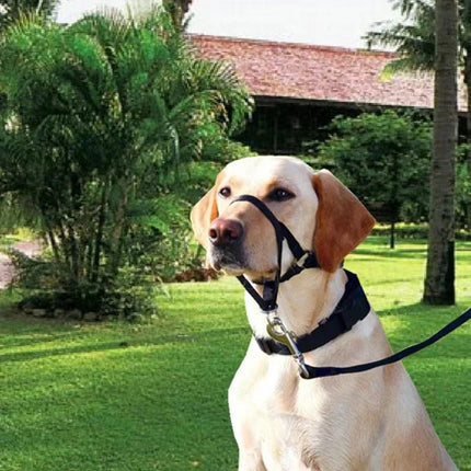 QuietFit Nylon Hondenmuilband | Verstelbaar en Comfortabel | Beschikbaar in Meerdere Kleuren en Maten S tot 2XL