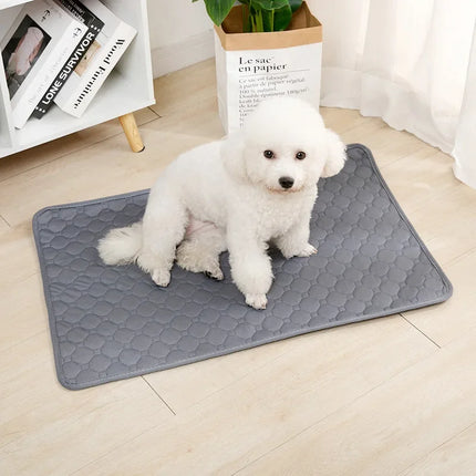 Herbruikbare Trainingsmat voor Honden | 4-laags Absorberend & Antislip Ontwerp | Geschikt voor Meubel- en Autobescherming | Machinewasbaar