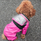 Roze