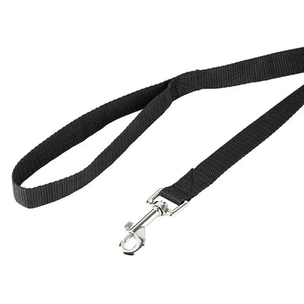 Nylon Hondenlijn Met Stevige Greep | Meerdere Lengteopties | Geschikt Voor Kleine Tot Grote Honden