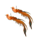 Alleen bruin-2Bird