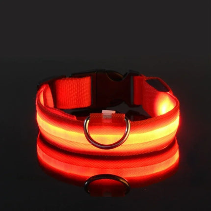 GlowBuddy Verstelbare Nylon Halsband met LED-verlichting | Veilig en Reflecterend voor Honden tijdens Nachtelijke Wandelingen