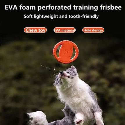 Duurzame Vliegende Schijf voor Honden | Ideaal voor Actieve Training en Speelsessies | Geschikt voor Alle Hondenmaten | Slijt- en Waterbestendig