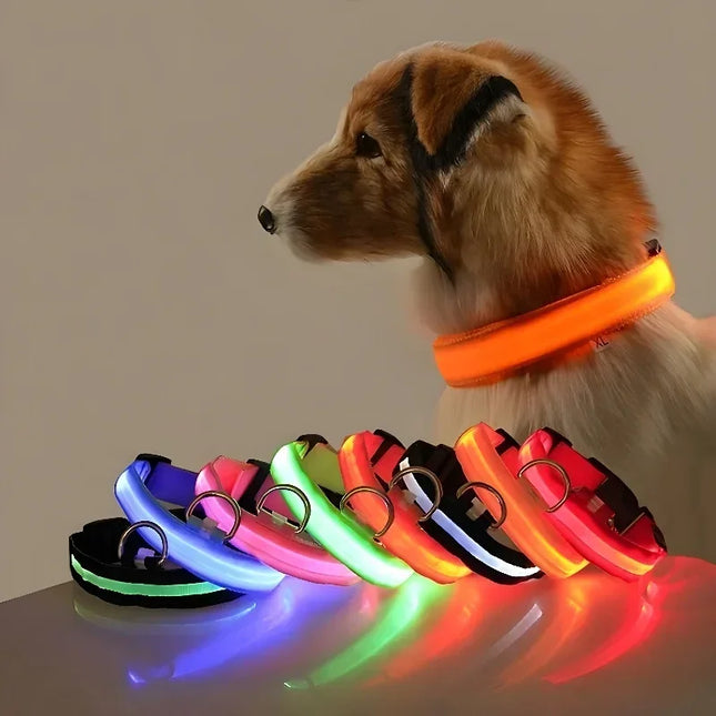 GlowBuddy Verstelbare Nylon Halsband met LED-verlichting | Veilig en Reflecterend voor Honden tijdens Nachtelijke Wandelingen
