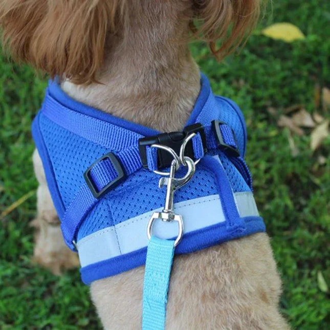 Effosola Hondenharnas | Instelbaar Gewatteerd Vest | Mesh Materiaal | Lijnen met Trektouw | Geschikt voor Puppy's | Effen Kleuren | Alle Seizoenen | Duurzaam Fiber | Veilig voor Honden en Katten