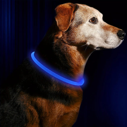 GlowPaws | Oplaadbare LED Veiligheidshalsband voor Honden met Meerdere Lichtstanden | Weerbestendig