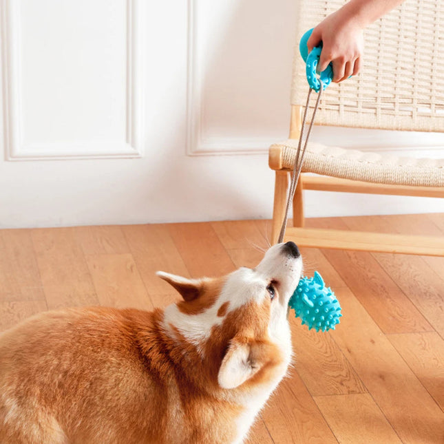Interactief Honden Speelgoed | Zuignap Traktatiehouder | Stevig en Veiliger | Bevordert Mondgezondheid | Voor Energieke Honden