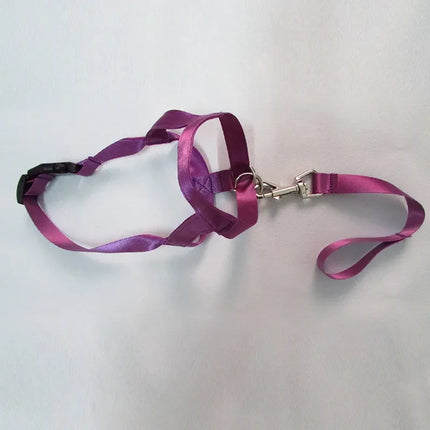 QuietFit Nylon Hondenmuilband | Verstelbaar en Comfortabel | Beschikbaar in Meerdere Kleuren en Maten S tot 2XL