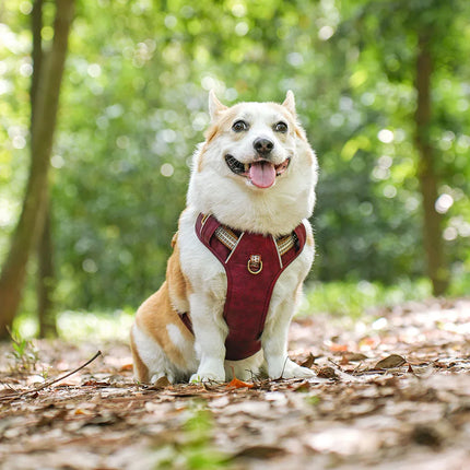 Didog Hondenharnas Nylon en PU | Waterdicht en Verstelbaar | Reflecterende Strip | Wandelen en Training | Groen, Rood, Bruin | Geschikt voor Kleine, Middelgrote en Grote Honden | Duurzaam en Veilig
