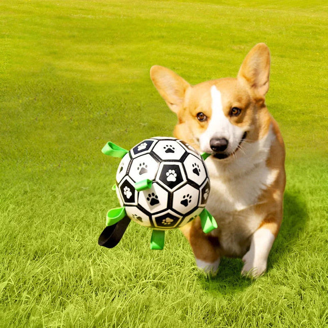 Jack | Duurzaam speelgoed voor honden | Veilig & interactief speelplezier