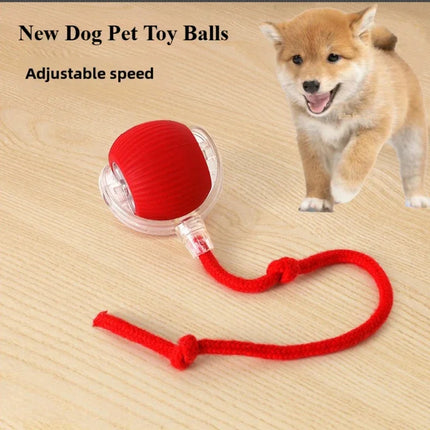 Interactieve Speelbal voor Katten en Honden | Automatisch en Oplaadbaar met Obstakelontwijking | Duurzaam en Geluidloos Design