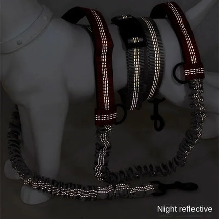 Verstelbare Handsfree Heupriem voor Hardlopen met Hond | Waterbestendig Nylon, Uittrekbaar & Reflecterend | Schokdempend met Dubbele Bungees en 360° Draaibare Clip