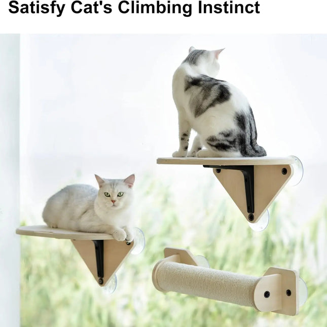 Kattenraam Ligbed 3-in-1 | Klimplank en Krabpaal Inclusief | Duurzaam Sisal & Polyester | Sterke Zuignappen | Stevige Basswood Constructie | Max 10 kg Capaciteit | Gemakkelijk Monteerbaar & Verplaatsbaar