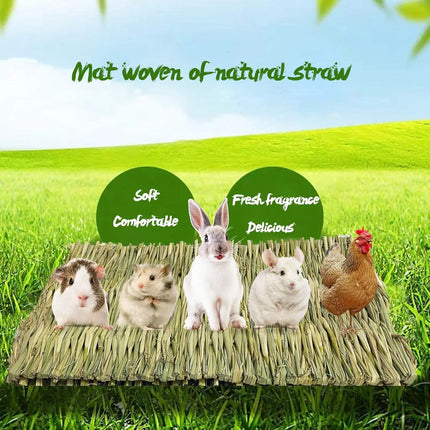 Konijnen Grasmat Set | Natuurlijk Geweven | Veilig Speelgoed Kleine Dieren | 5 Stuks | icobbler