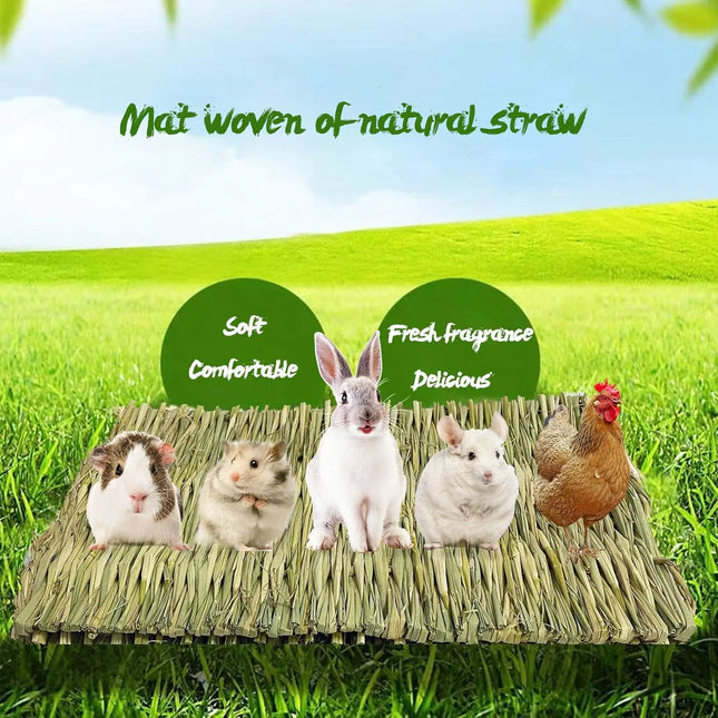 Konijnen Grasmat Set | Natuurlijk Geweven | Veilig Speelgoed Kleine Dieren | 5 Stuks | icobbler