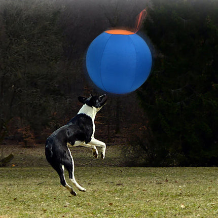 HerdMaster | Duurzame Opblaasbare Speelbal voor Honden, 45 cm | Polyester, Inclusief Handpomp | Blauw & Oranje