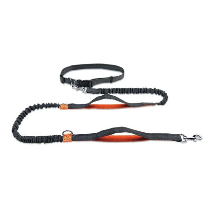 Verstelbare Handsfree Heupriem voor Hardlopen met Hond | Waterbestendig Nylon, Uittrekbaar & Reflecterend | Schokdempend met Dubbele Bungees en 360° Draaibare Clip