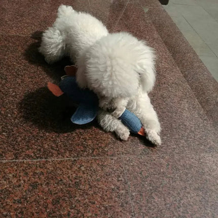 Pluche Gans Hondenspeeltje | Veilig Natuurlijk Katoen | Piepende Geluiden | Stimuleert Mondgezondheid | Geschikt voor Kleine en Middelgrote Honden | Gemakkelijk te Reinigen | 32 cm Lang