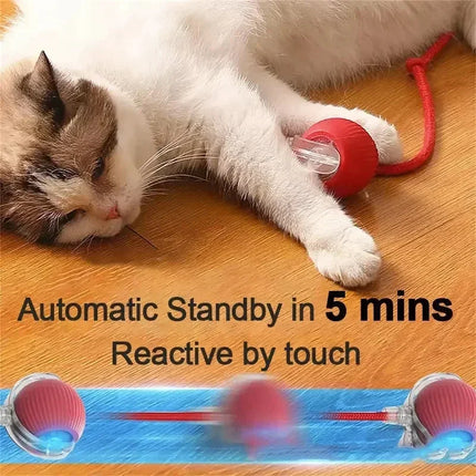 Interactieve Speelbal voor Katten en Honden | Automatisch en Oplaadbaar met Obstakelontwijking | Duurzaam en Geluidloos Design
