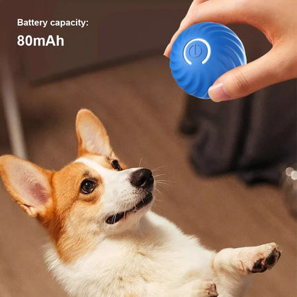 Interactieve Oplaadbare Huisdier Bal | Slimme Zwaartekracht Stuiterbal voor Kat en Hond | Automatische Rolfunctie