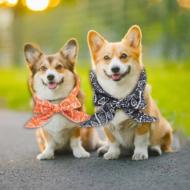 Verstelbare Koelsjaal voor Huisdieren | Herbruikbare Gelpacks | Lichtgewicht & Comfortabel | Zomer Koelaccessoire voor Katten & Honden | Verkrijgbaar in Meerdere Kleuren