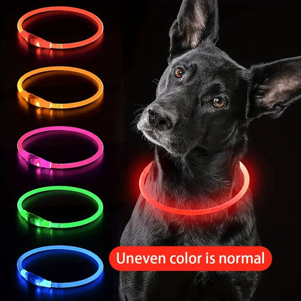 GlowPaws | Oplaadbare LED Veiligheidshalsband voor Honden met Meerdere Lichtstanden | Weerbestendig